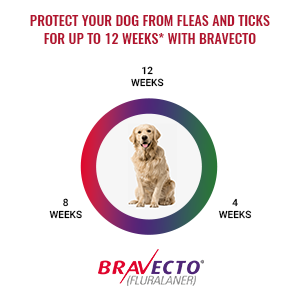 Bravecto canada outlet amazon